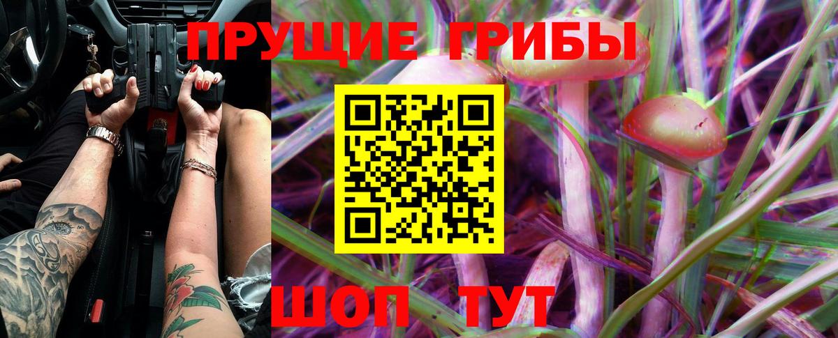 Осинники  где продают наркотики  Псилоцибиновые грибы GOLDEN TEACHER  Вход с VPN  Галлюциногенные грибы Magic Shrooms 